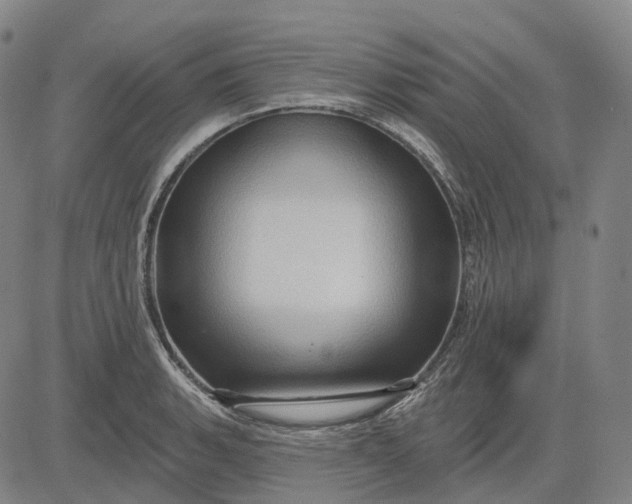 X0000083041135200702161700