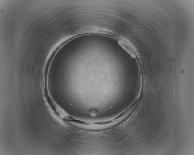 X0000083041136200702161700