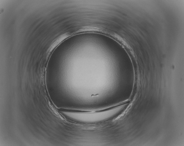 X0000083041137200702161700