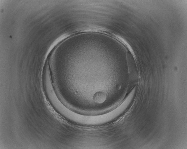 X0000083041138200702161700