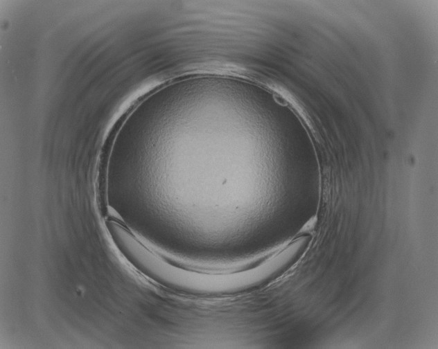 X0000083041139200702161700