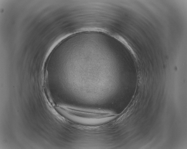 X0000083041140200702161700