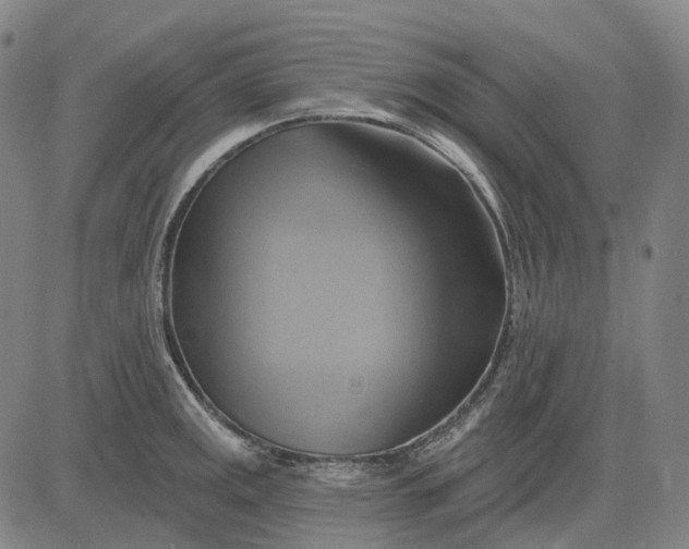 X0000083041141200702161700