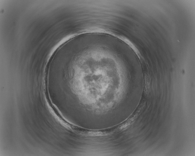 X0000083041142200702161700