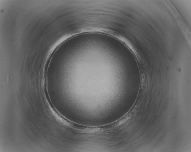 X0000083041143200702161700