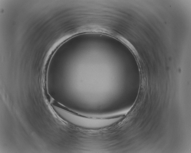 X0000083041144200702161700