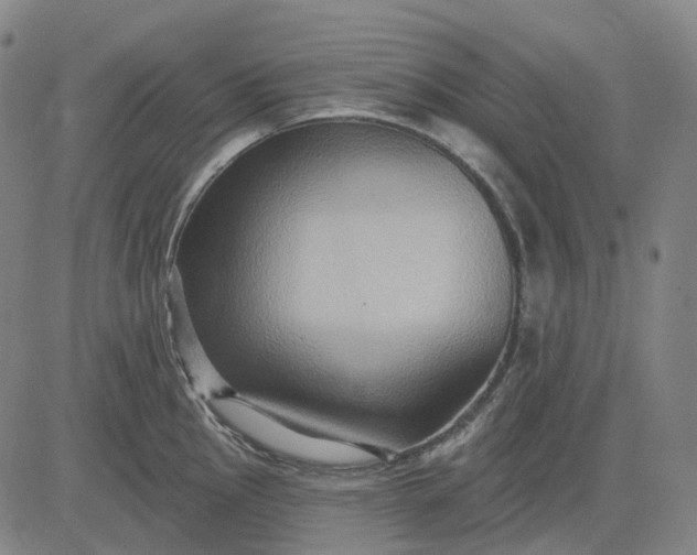 X0000083041145200702161700