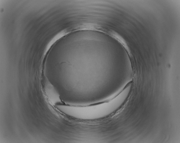 X0000083041146200702161700