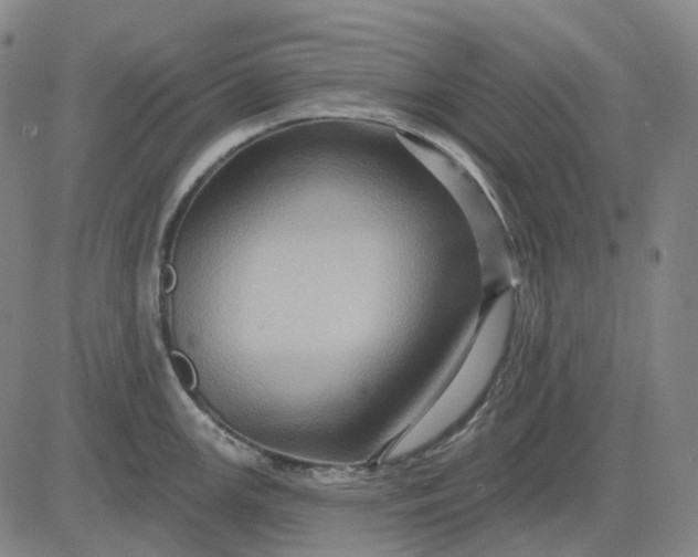 X0000083041147200702161700