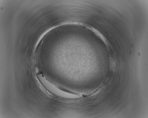 X0000083041148200702161700