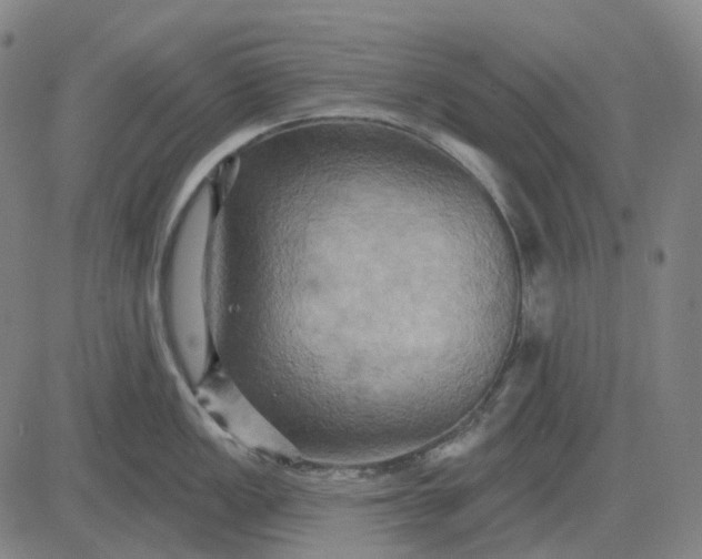 X0000083041149200702161700