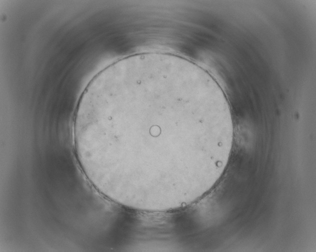 X0000083041150200702161700