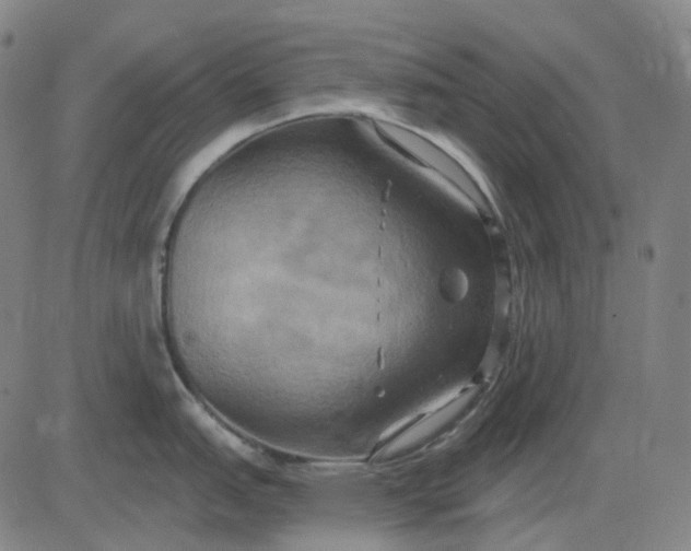 X0000083041151200702161700