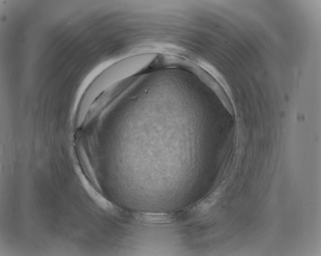 X0000083041152200702161700