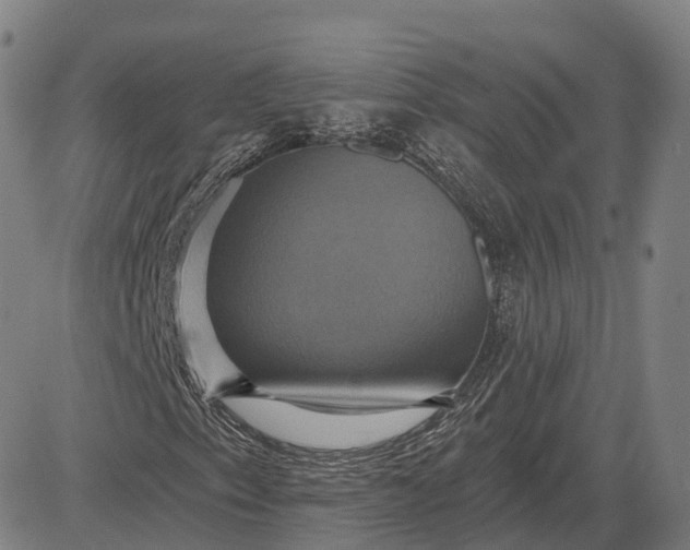 X0000083041153200702161659