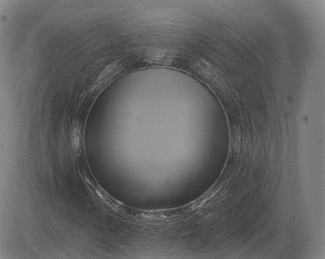 X0000083041154200702161659