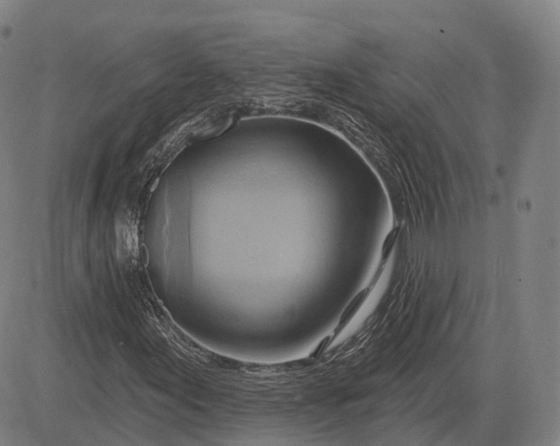 X0000083041155200702161659