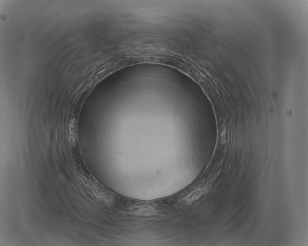 X0000083041156200702161659