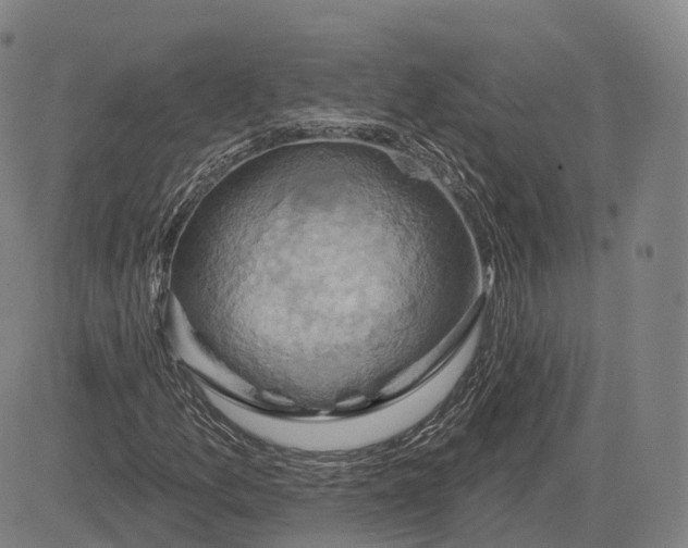 X0000083041157200702161659