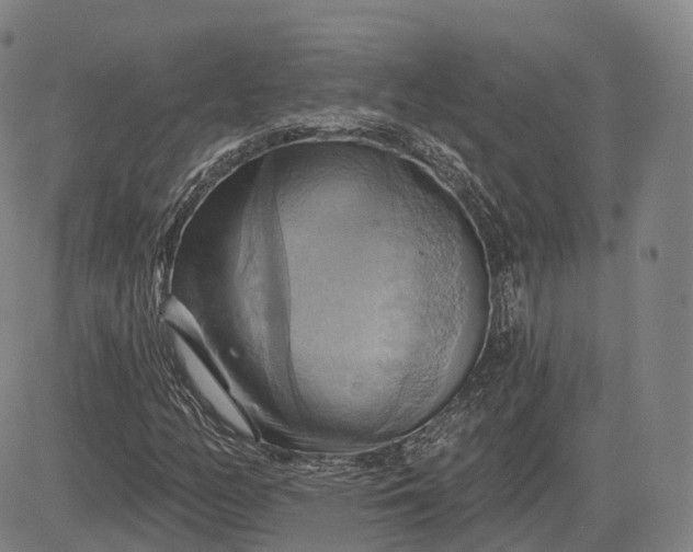 X0000083041158200702161659