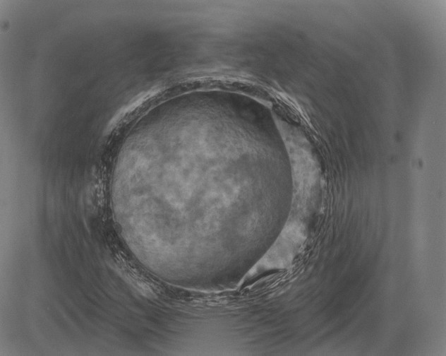 X0000083041159200702161659