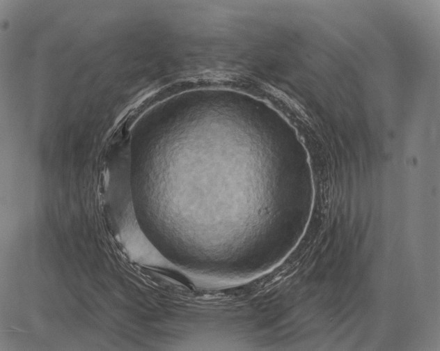 X0000083041160200702161659