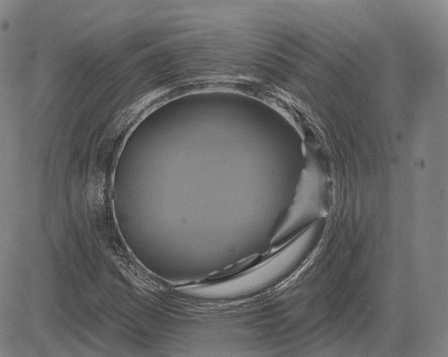 X0000083041161200702161659