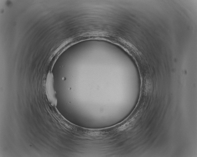 X0000083041162200702161659