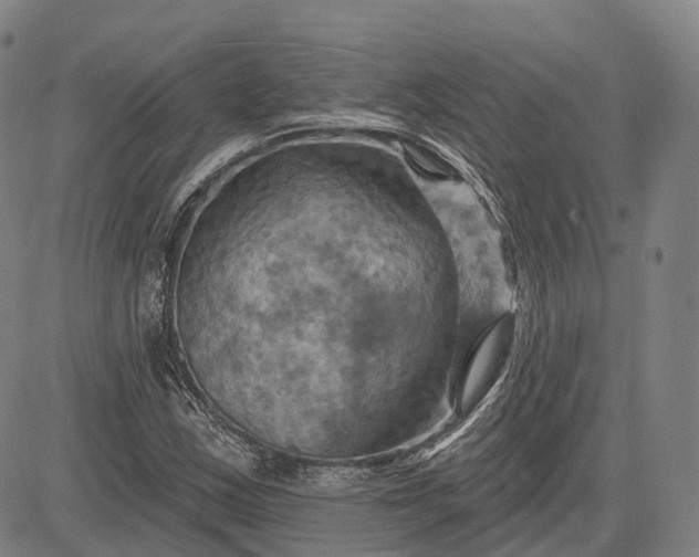 X0000083041163200702161659