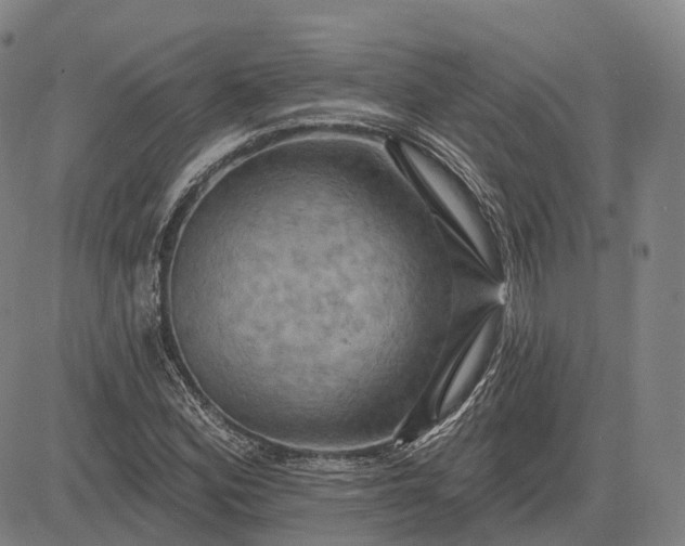 X0000083041164200702161659