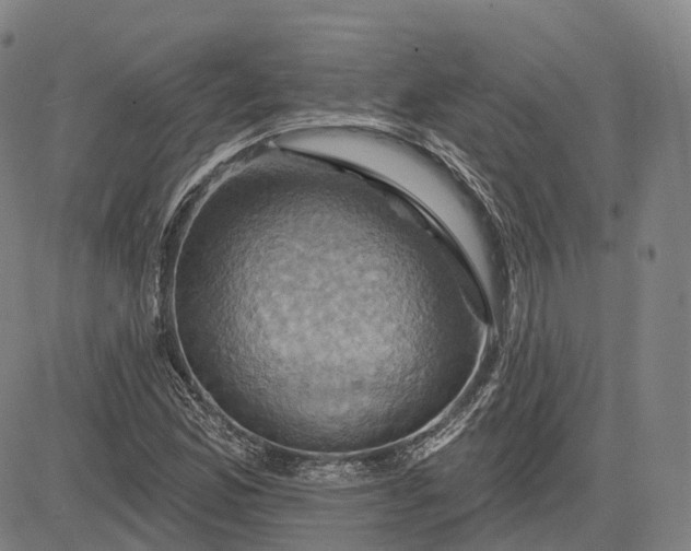 X0000083041165200702161659