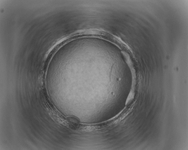 X0000083041166200702161659