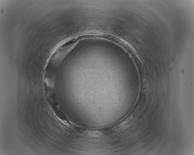 X0000083041168200702161659