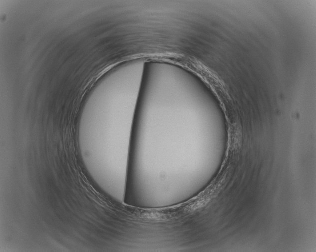 X0000083041169200702161659