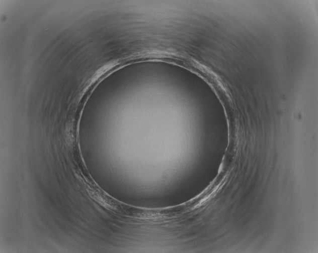 X0000083041170200702161659