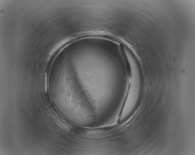 X0000083041171200702161659