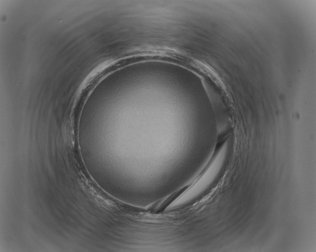 X0000083041172200702161659