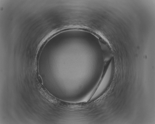 X0000083041173200702161659