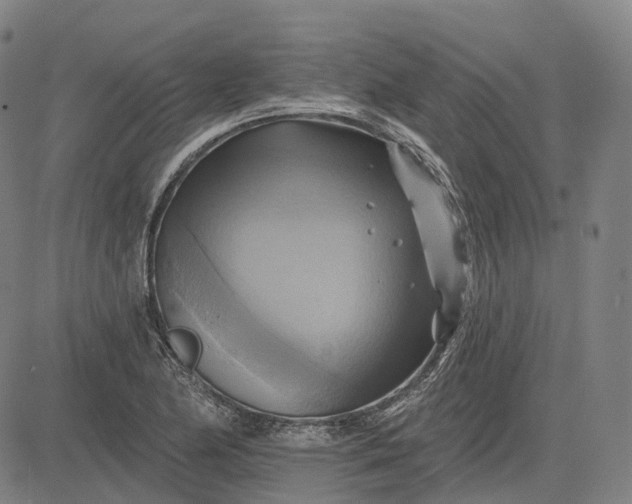 X0000083041174200702161659