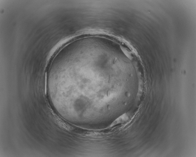 X0000083041175200702161659