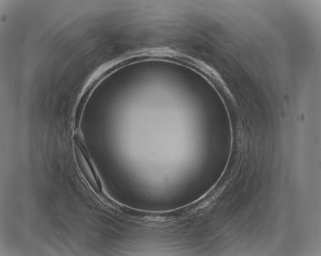 X0000083041176200702161659