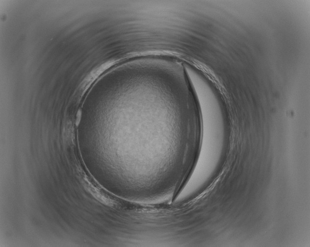 X0000083041177200702161659