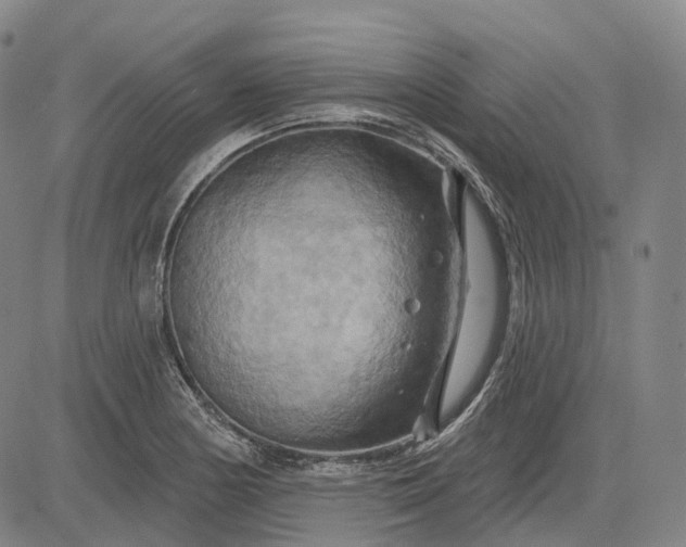 X0000083041178200702161659