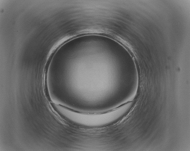 X0000083041179200702161659