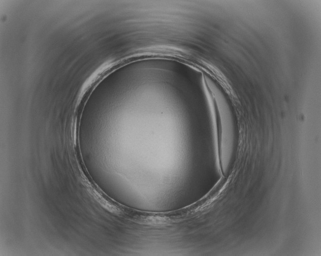 X0000083041180200702161659