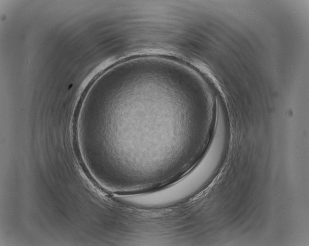 X0000083041181200702161659