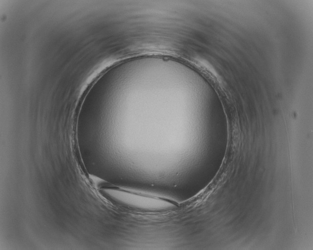 X0000083041182200702161659