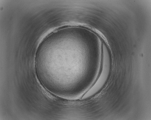 X0000083041183200702161659