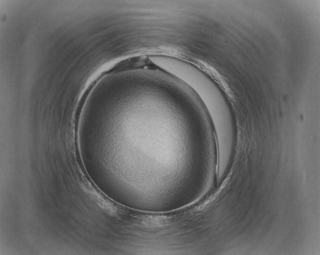 X0000083041184200702161659