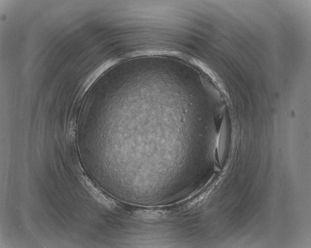 X0000083041185200702161659